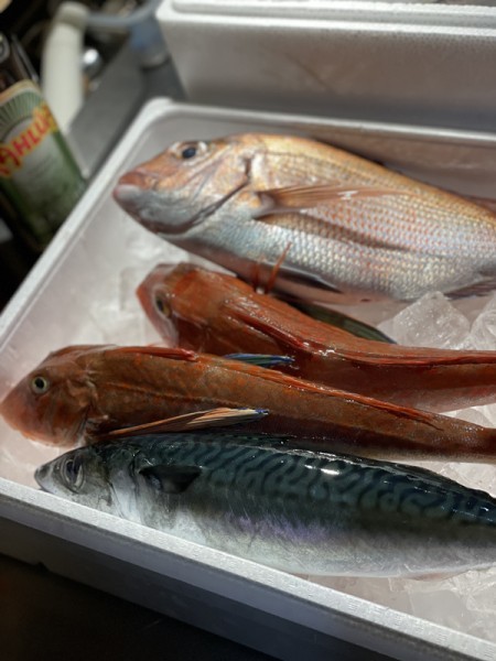 food&bar conan’sの店主が厳選した旬な食材